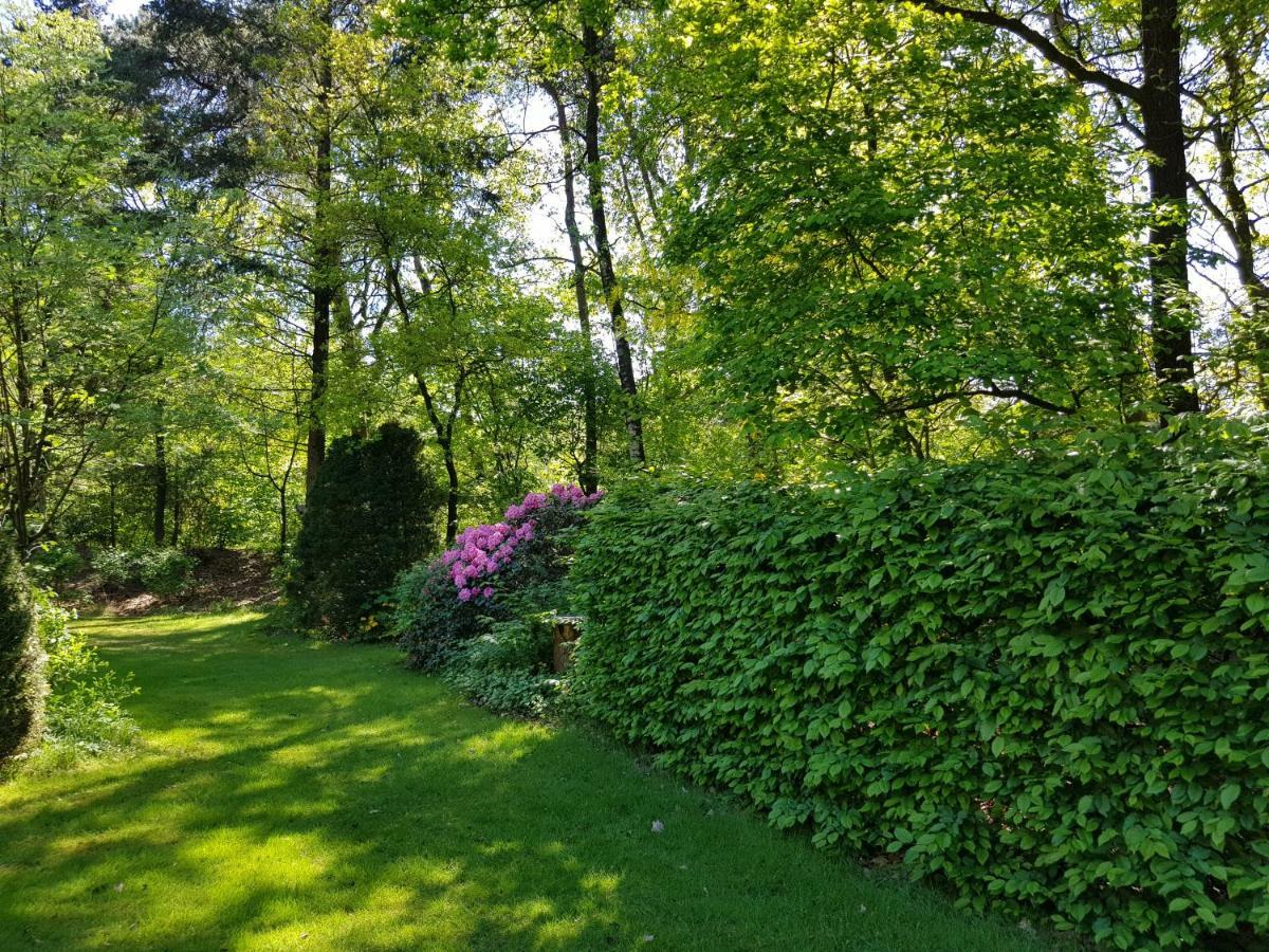 Bungalow Hartje Veluwe 欧特罗 外观 照片