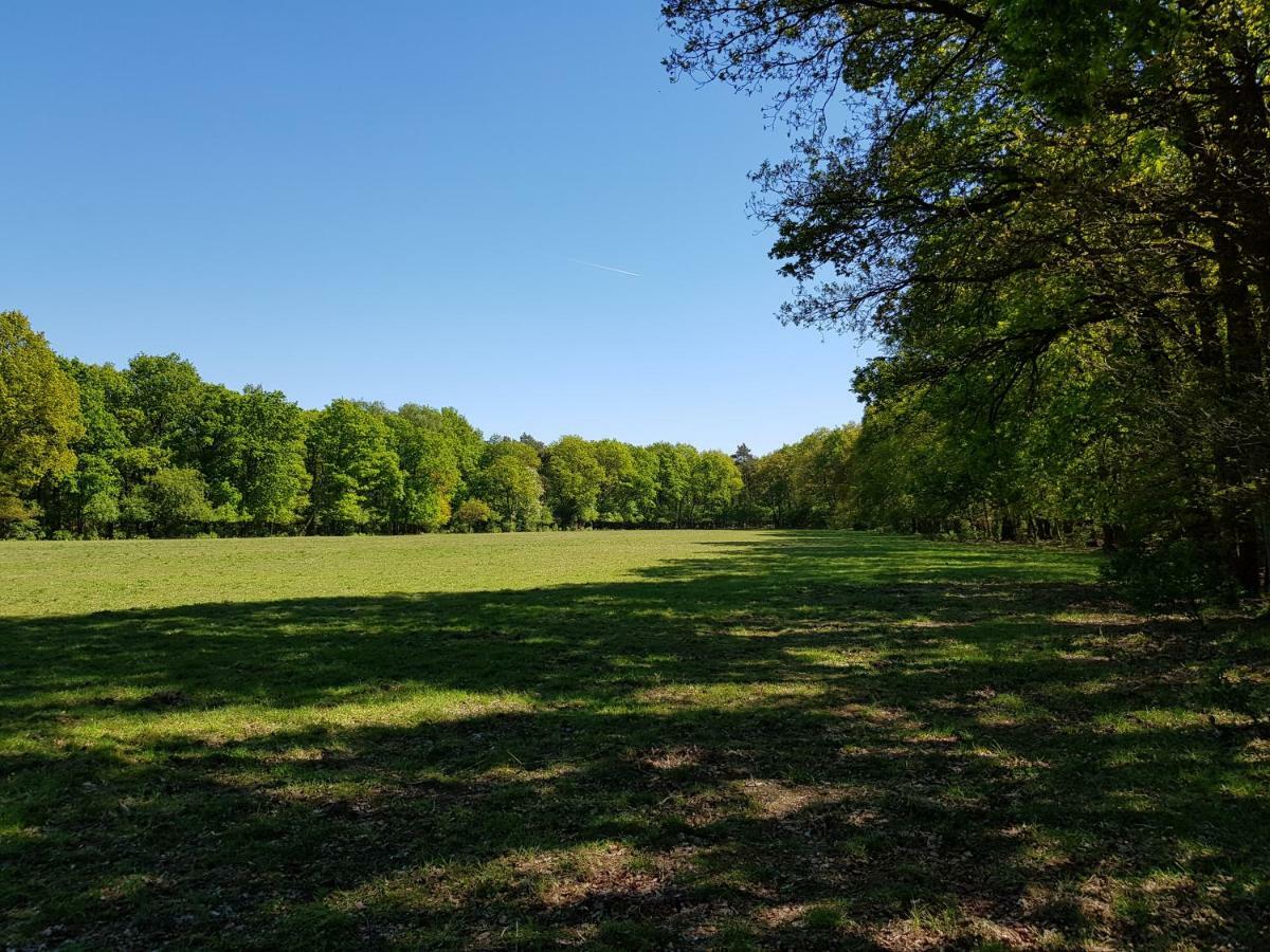 Bungalow Hartje Veluwe 欧特罗 外观 照片