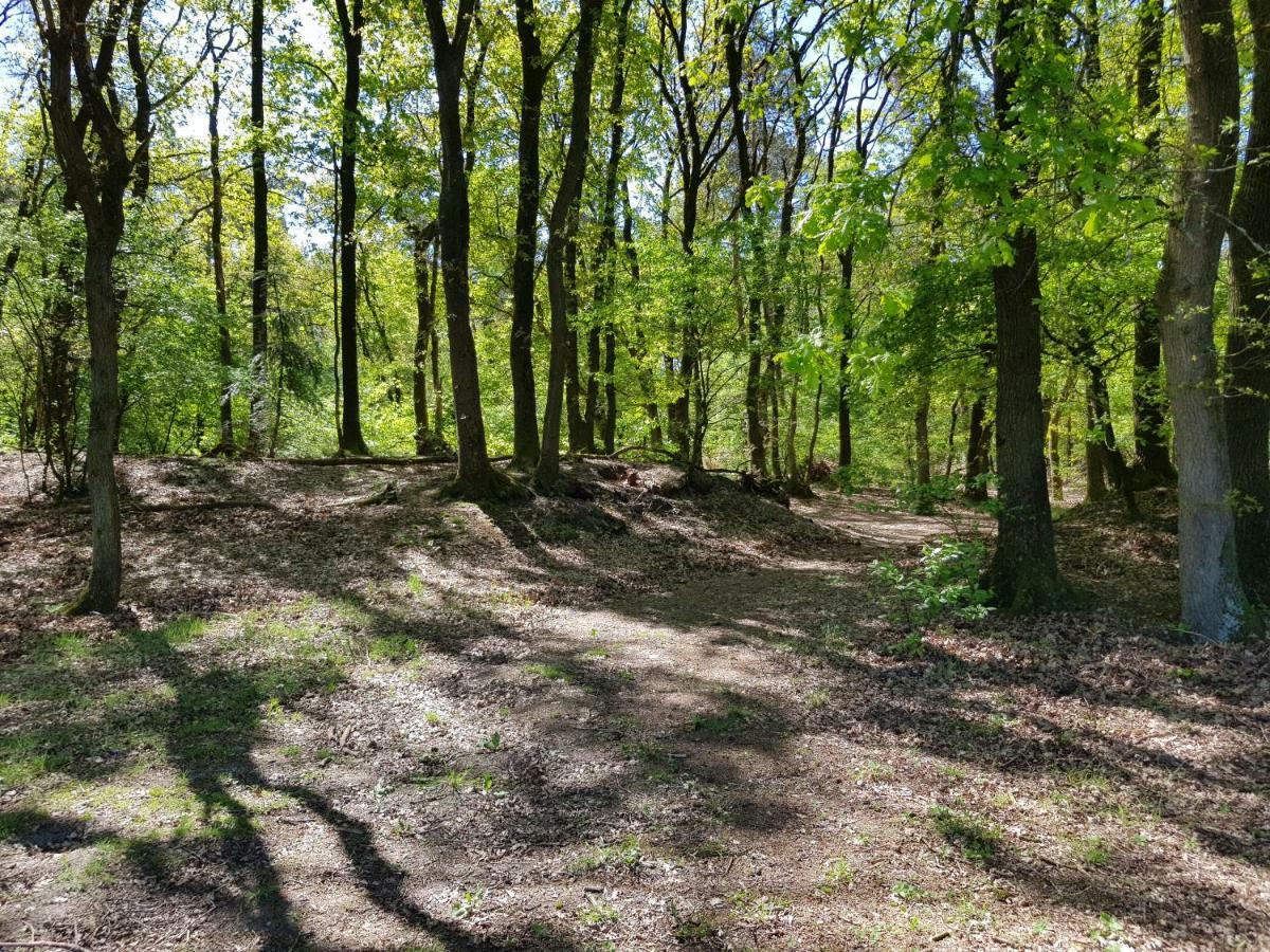Bungalow Hartje Veluwe 欧特罗 外观 照片