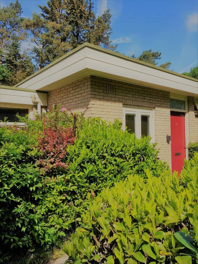 Bungalow Hartje Veluwe 欧特罗 外观 照片