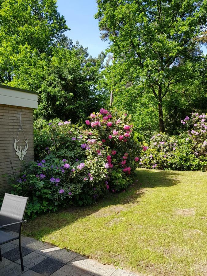 Bungalow Hartje Veluwe 欧特罗 外观 照片