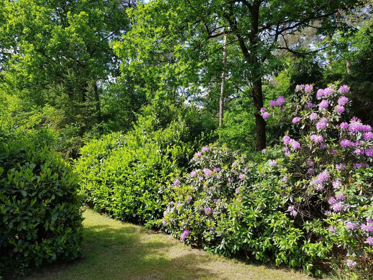 Bungalow Hartje Veluwe 欧特罗 外观 照片