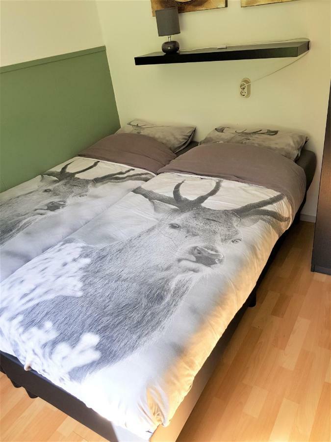 Bungalow Hartje Veluwe 欧特罗 外观 照片