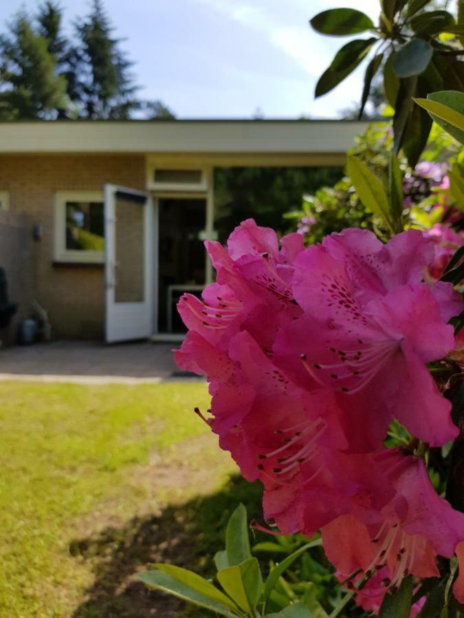 Bungalow Hartje Veluwe 欧特罗 外观 照片